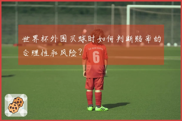 世界杯外围买球时如何判断赔率的合理性和风险？