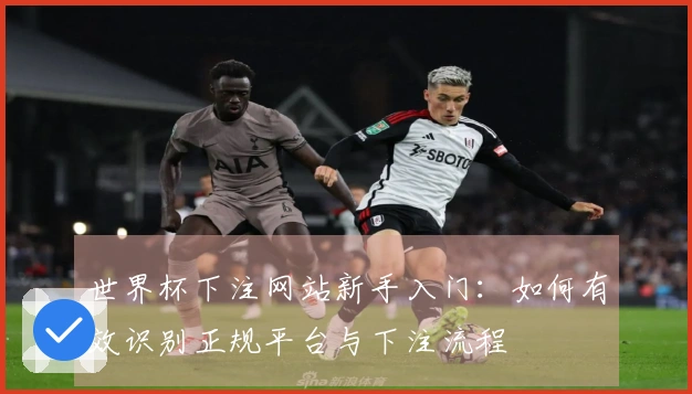 世界杯下注网站新手入门:如何有效识别正规平台与下注流程