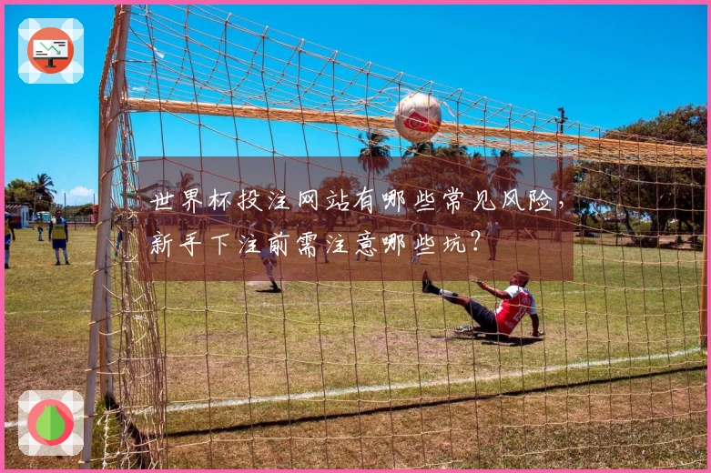世界杯投注网站有哪些常见风险，新手下注前需注意哪些坑？