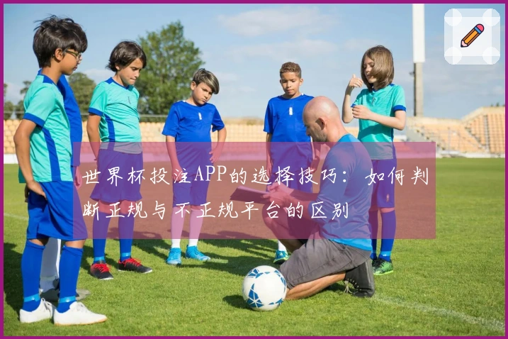 世界杯投注APP的选择技巧：如何判断正规与不正规平台的区别