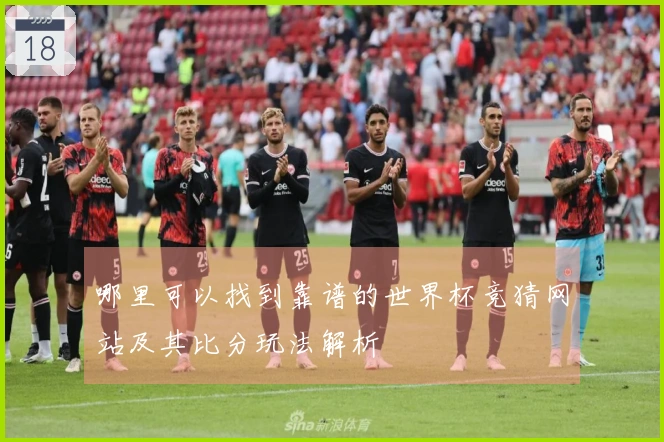 哪里可以找到靠谱的世界杯竞猜网站及其比分玩法解析