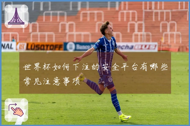 世界杯如何下注的安全平台有哪些常见注意事项