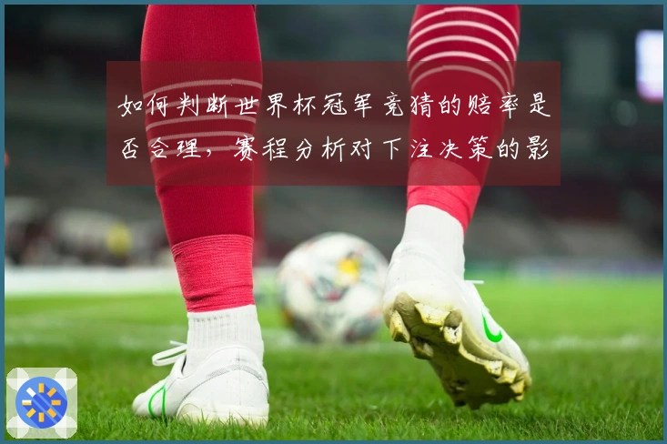 如何判断世界杯冠军竞猜的赔率是否合理，赛程分析对下注决策的影响