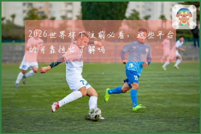 2026世界杯下注前必看，这些平台的可靠性你了解吗