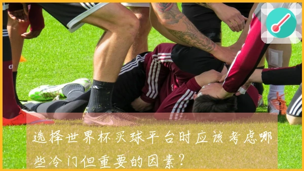选择世界杯买球平台时应该考虑哪些冷门但重要的因素？