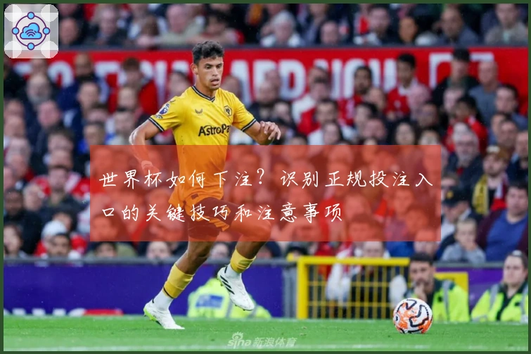 世界杯如何下注？识别正规投注入口的关键技巧和注意事项