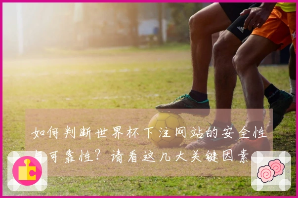 如何判断世界杯下注网站的安全性与可靠性？请看这几大关键因素
