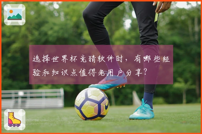 选择世界杯竞猜软件时，有哪些经验和知识点值得老用户分享？