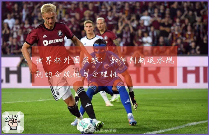 世界杯外围买球：如何判断返水规则的合规性与合理性