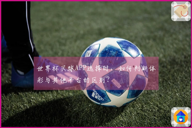 世界杯买球APP选择时，如何判断体彩与其他平台的区别？