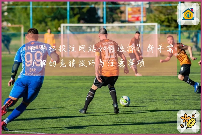 世界杯投注网站如何选择?新手需了解的竞猜技巧与注意事项