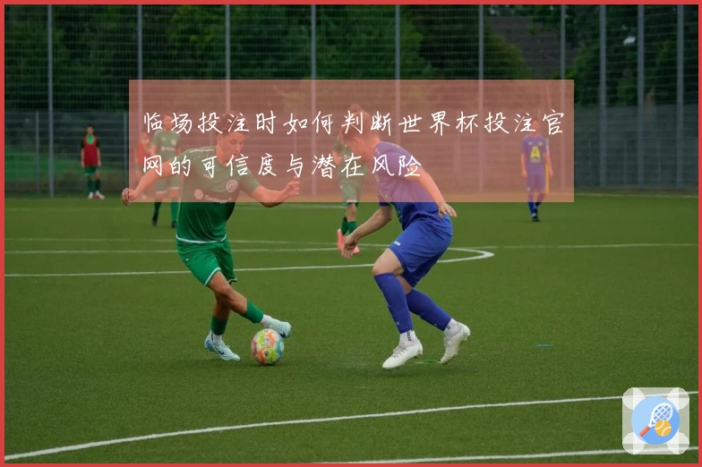 临场投注时如何判断世界杯投注官网的可信度与潜在风险