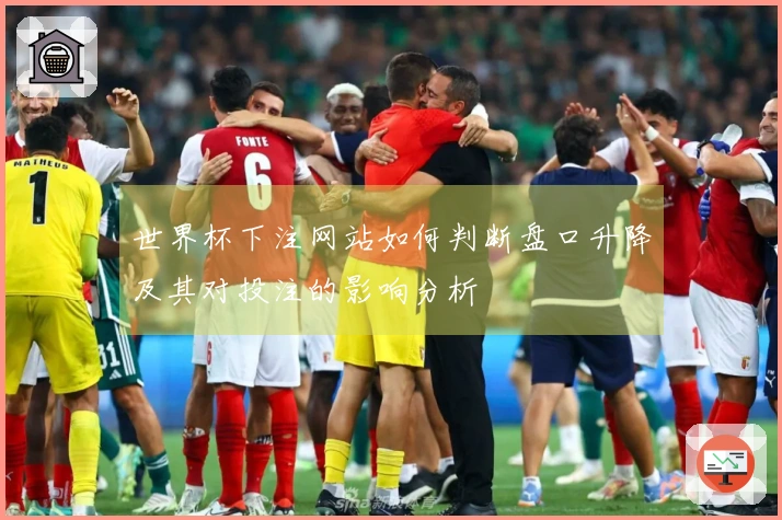 世界杯下注网站如何判断盘口升降及其对投注的影响分析
