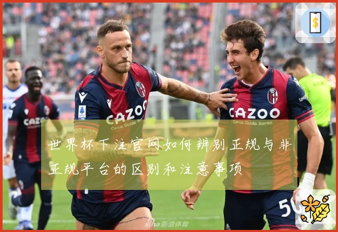 世界杯下注官网如何辨别正规与非正规平台的区别和注意事项
