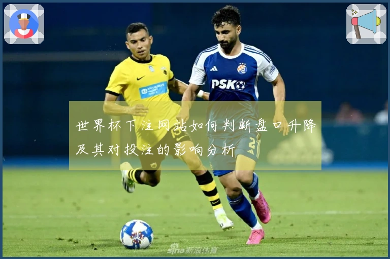 世界杯下注网站如何判断盘口升降及其对投注的影响分析