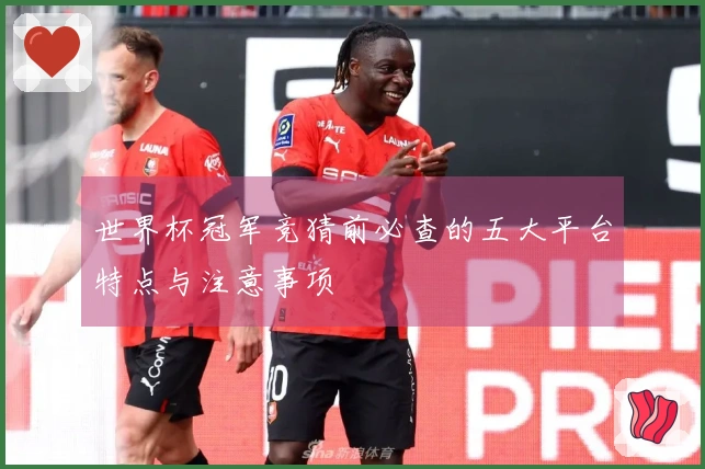 世界杯冠军竞猜前必查的五大平台特点与注意事项