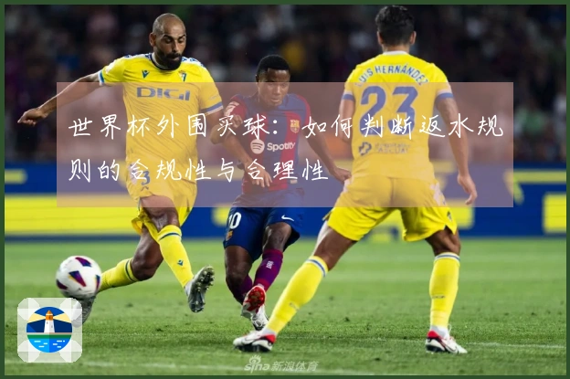 世界杯外围买球:如何判断返水规则的合规性与合理性