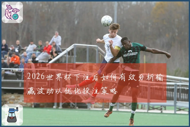 2026世界杯下注后如何有效分析输赢波动以优化投注策略