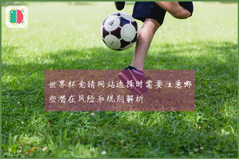 世界杯竞猜网站选择时需要注意哪些潜在风险和规则解析