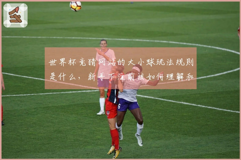 世界杯竞猜网站的大小球玩法规则是什么，新手下注前该如何理解和判断？