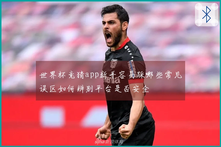 世界杯竞猜app新手容易踩哪些常见误区如何辨别平台是否安全