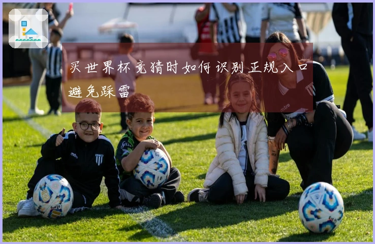 买世界杯竞猜时如何识别正规入口避免踩雷