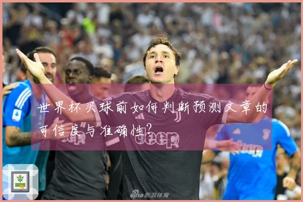 世界杯买球前如何判断预测文章的可信度与准确性？