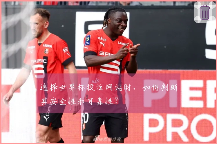 选择世界杯投注网站时，如何判断其安全性和可靠性？