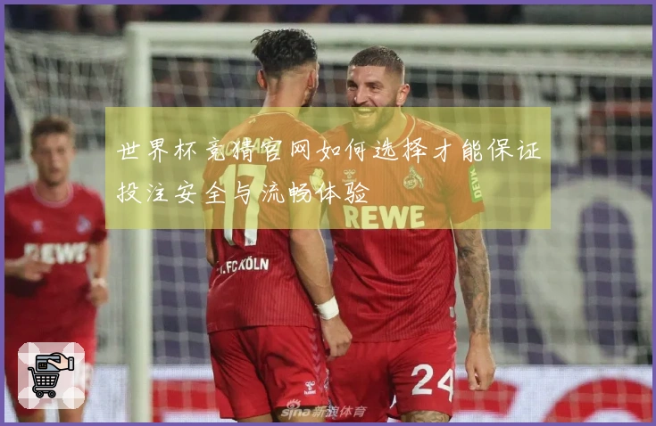 世界杯竞猜官网如何选择才能保证投注安全与流畅体验