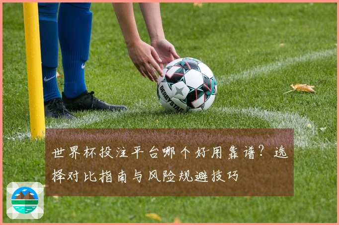 世界杯投注平台哪个好用靠谱？选择对比指南与风险规避技巧