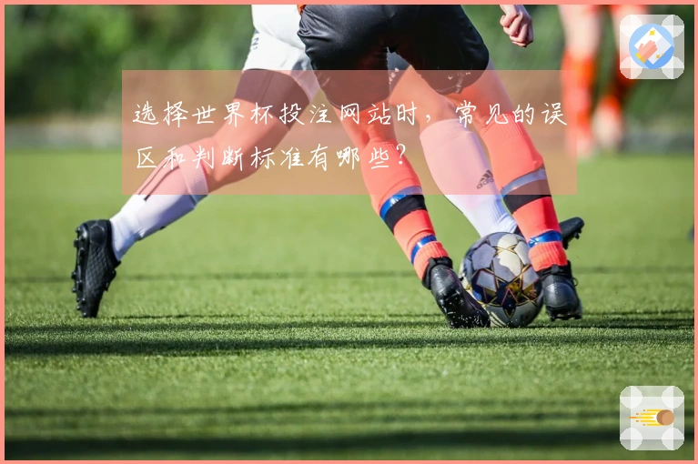 选择世界杯投注网站时，常见的误区和判断标准有哪些？