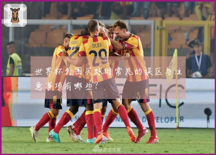 世界杯外围买球时常见的误区与注意事项有哪些?