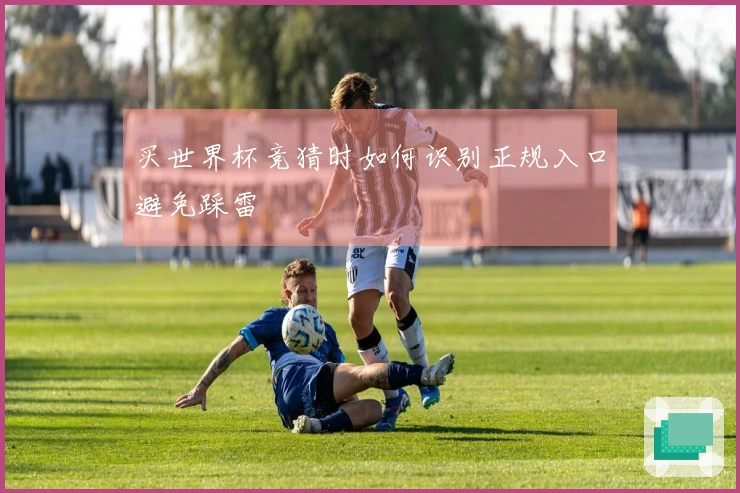 买世界杯竞猜时如何识别正规入口避免踩雷