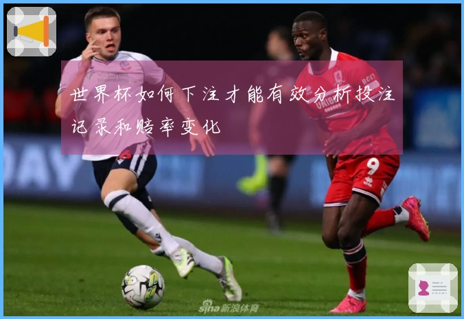 世界杯如何下注才能有效分析投注记录和赔率变化