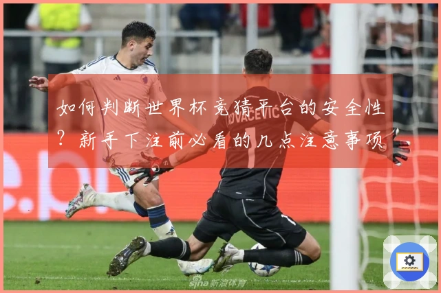 如何判断世界杯竞猜平台的安全性？新手下注前必看的几点注意事项