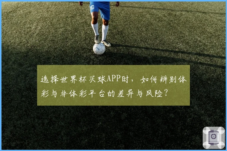选择世界杯买球APP时，如何辨别体彩与非体彩平台的差异与风险？