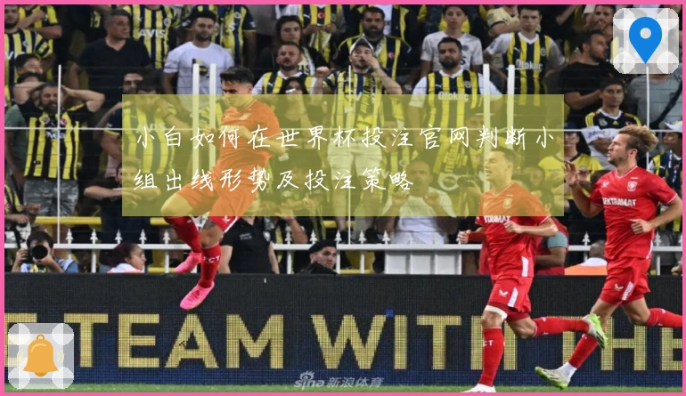 小白如何在世界杯投注官网判断小组出线形势及投注策略