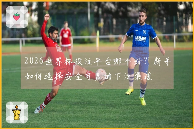 2026世界杯投注平台哪个好？新手如何选择安全可靠的下注渠道