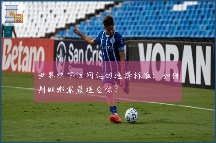 世界杯下注网站的选择标准:如何判断哪家最适合你?