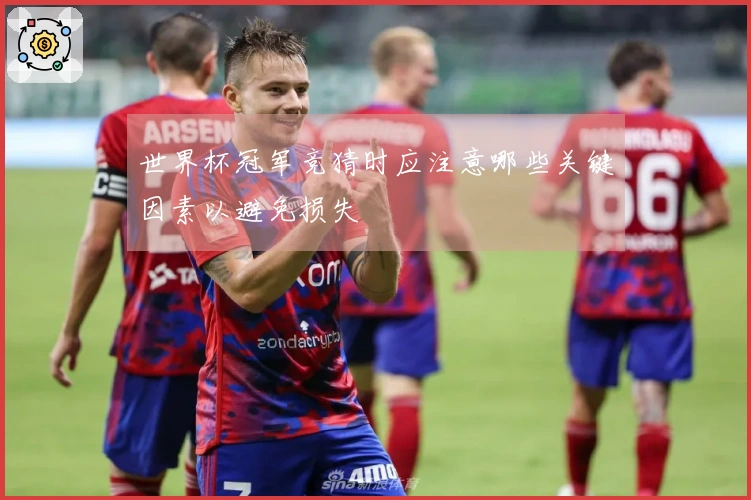 世界杯冠军竞猜时应注意哪些关键因素以避免损失