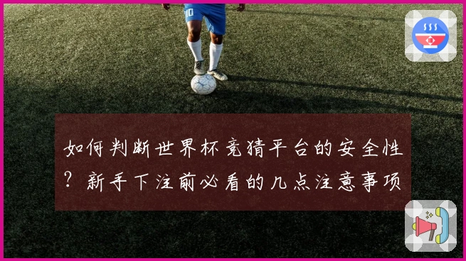 如何判断世界杯竞猜平台的安全性？新手下注前必看的几点注意事项