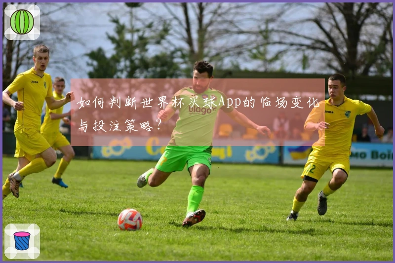 如何判断世界杯买球App的临场变化与投注策略？