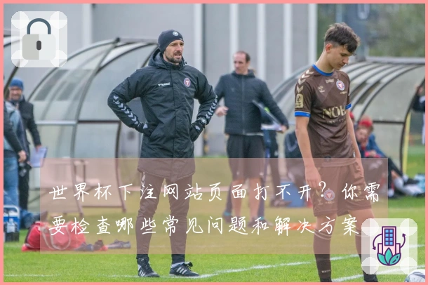 世界杯下注网站页面打不开？你需要检查哪些常见问题和解决方案