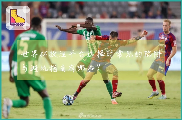 世界杯投注平台选择时常见的陷阱与避坑指南有哪些?