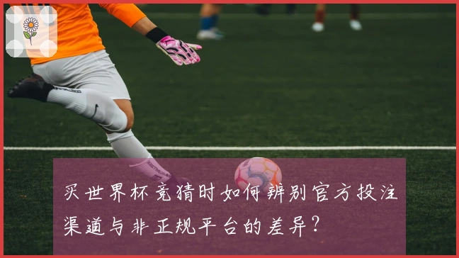 买世界杯竞猜时如何辨别官方投注渠道与非正规平台的差异？