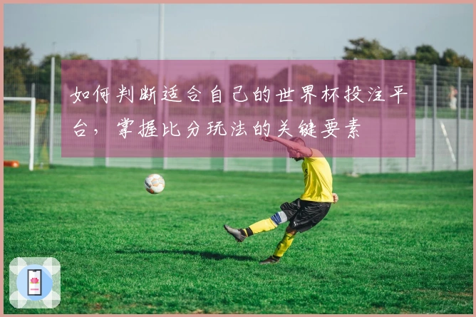 如何判断适合自己的世界杯投注平台，掌握比分玩法的关键要素