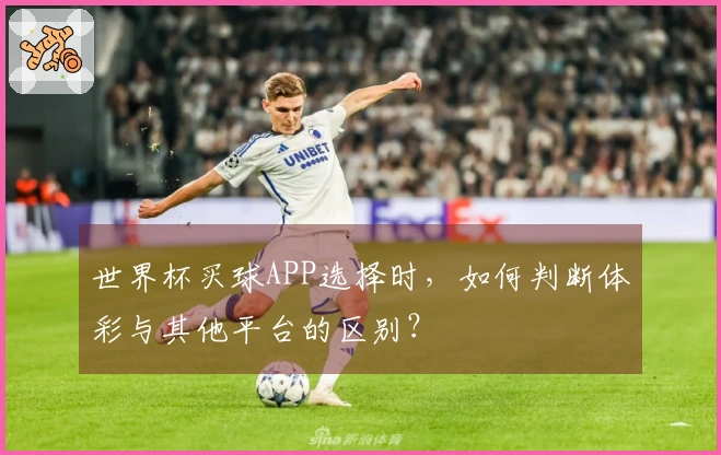 世界杯买球APP选择时,如何判断体彩与其他平台的区别?