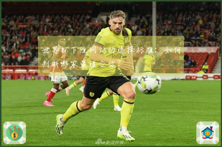 世界杯下注网站的选择标准：如何判断哪家最适合你？