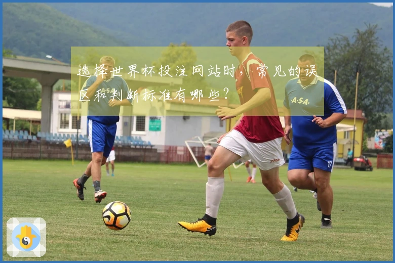 选择世界杯投注网站时，常见的误区和判断标准有哪些？