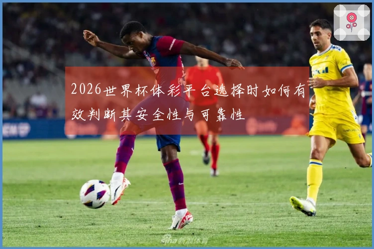 2026世界杯体彩平台选择时如何有效判断其安全性与可靠性